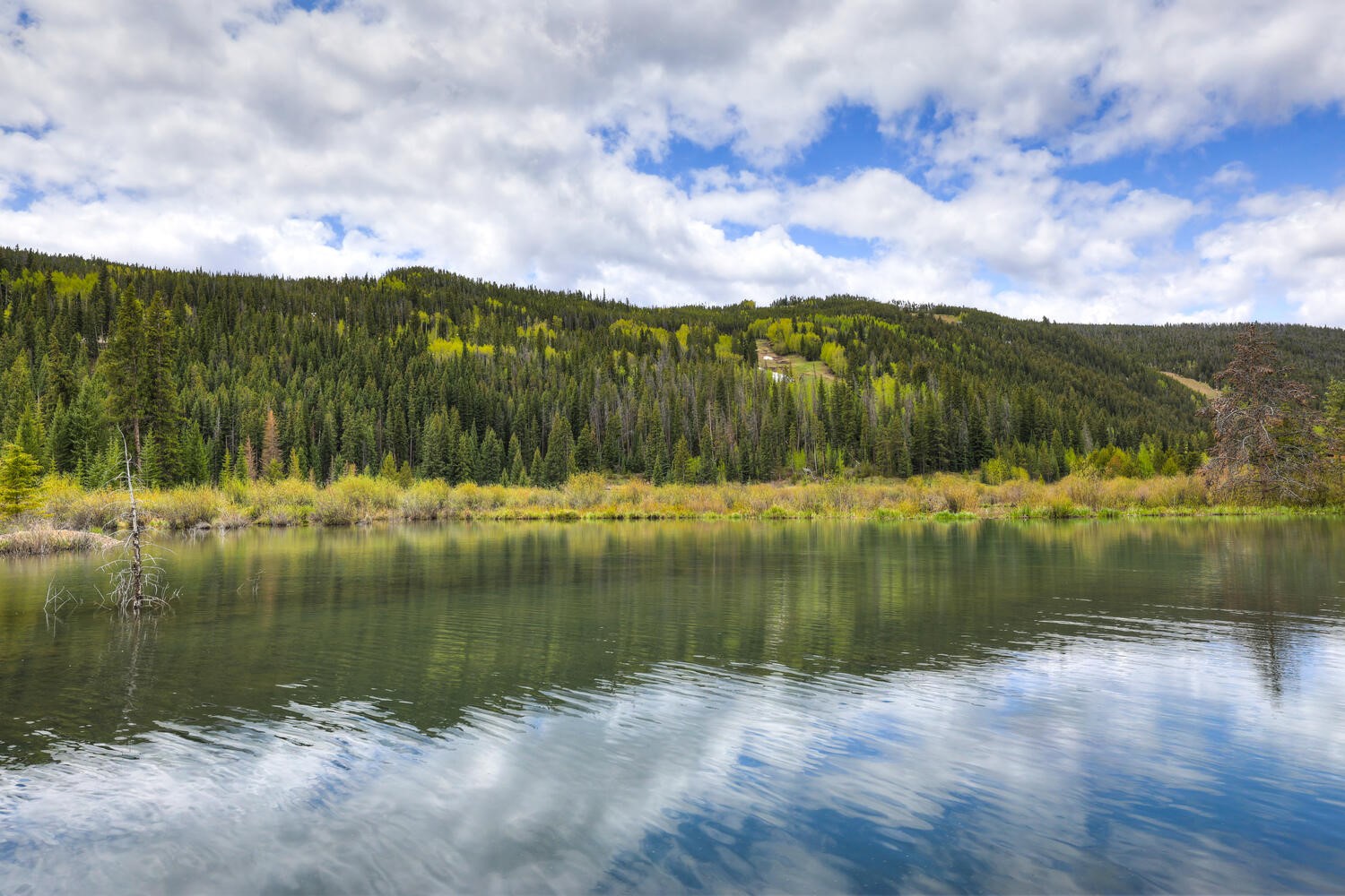 24 River Run Road, Unit 2918 Keystone, CO 80435 - Photo 25 of 38 Wildlife area