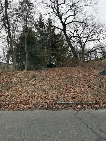 a view of a yard with trees