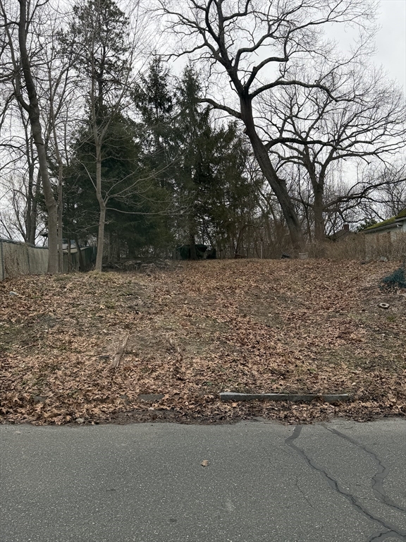 a view of a yard with trees