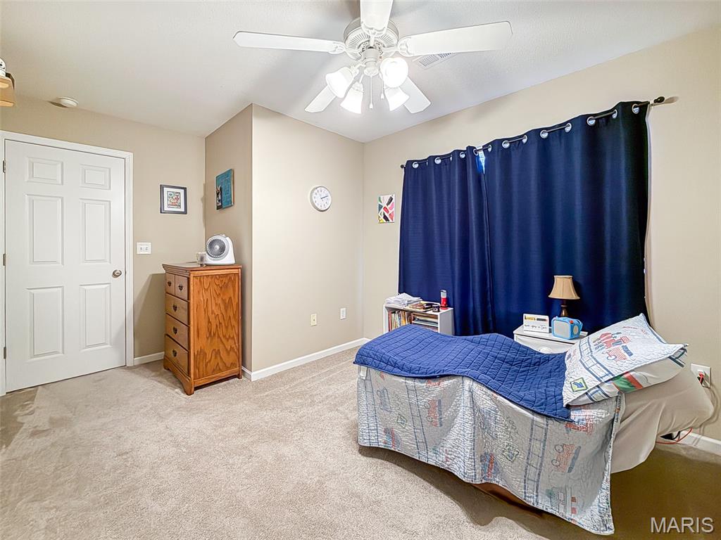 756 Erika Street O'Fallon, IL 62269 - Photo 20 of 29