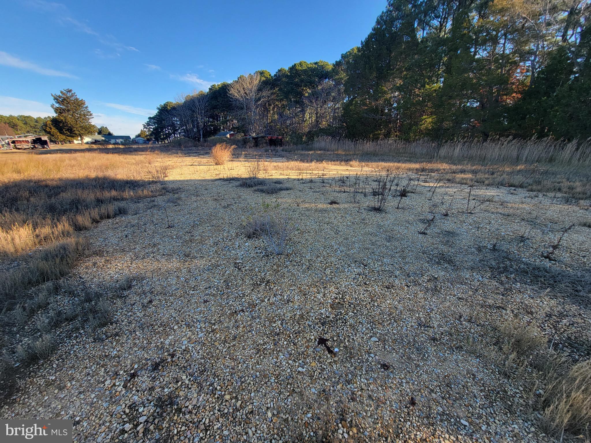 49993 Airedele Road Ridge, MD 20680 - Photo 24 of 34 Leading to the water