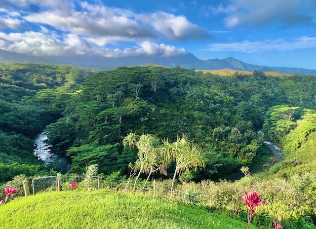 5370 A Kahiliholo Road Kilauea, HI 96754 - Photo 11 of 29