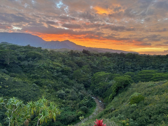 5370 A Kahiliholo Road Kilauea, HI 96754 - Photo 16 of 29