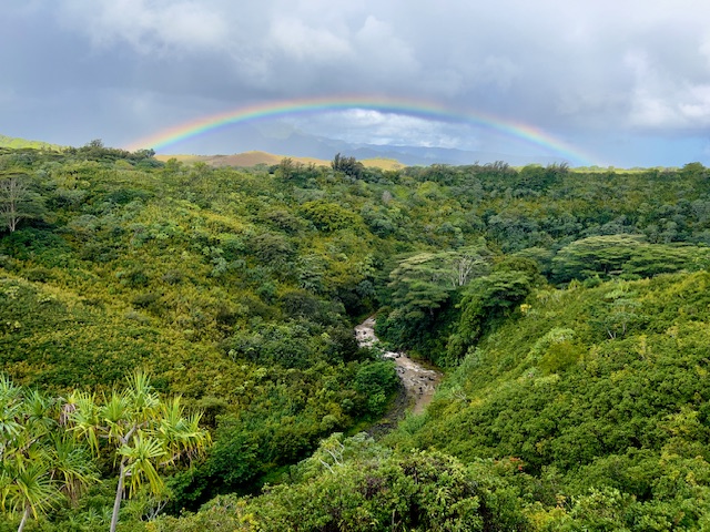 5370 A Kahiliholo Road Kilauea, HI 96754 - Photo 18 of 29