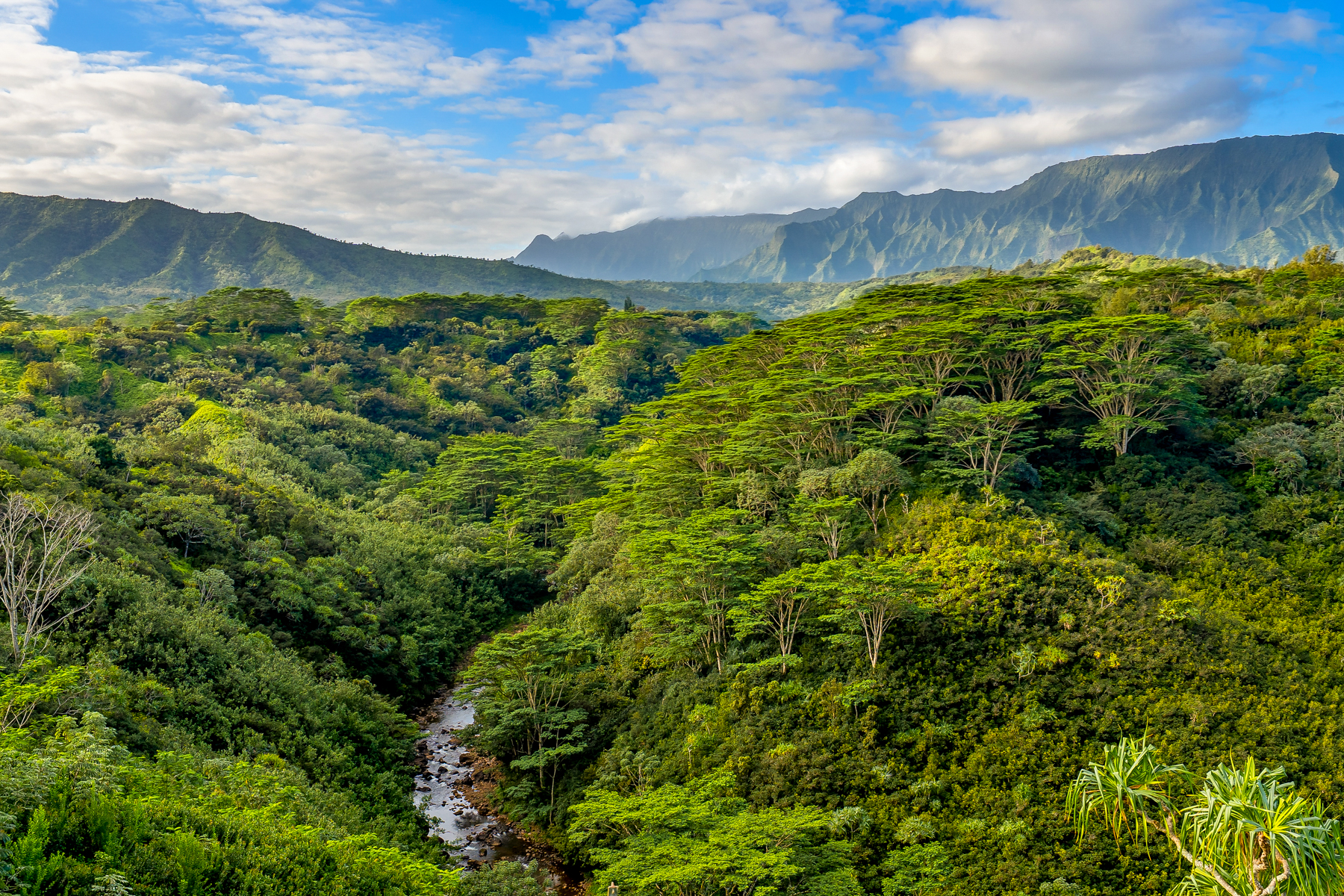 5370 A Kahiliholo Road Kilauea, HI 96754 - Photo 3 of 29