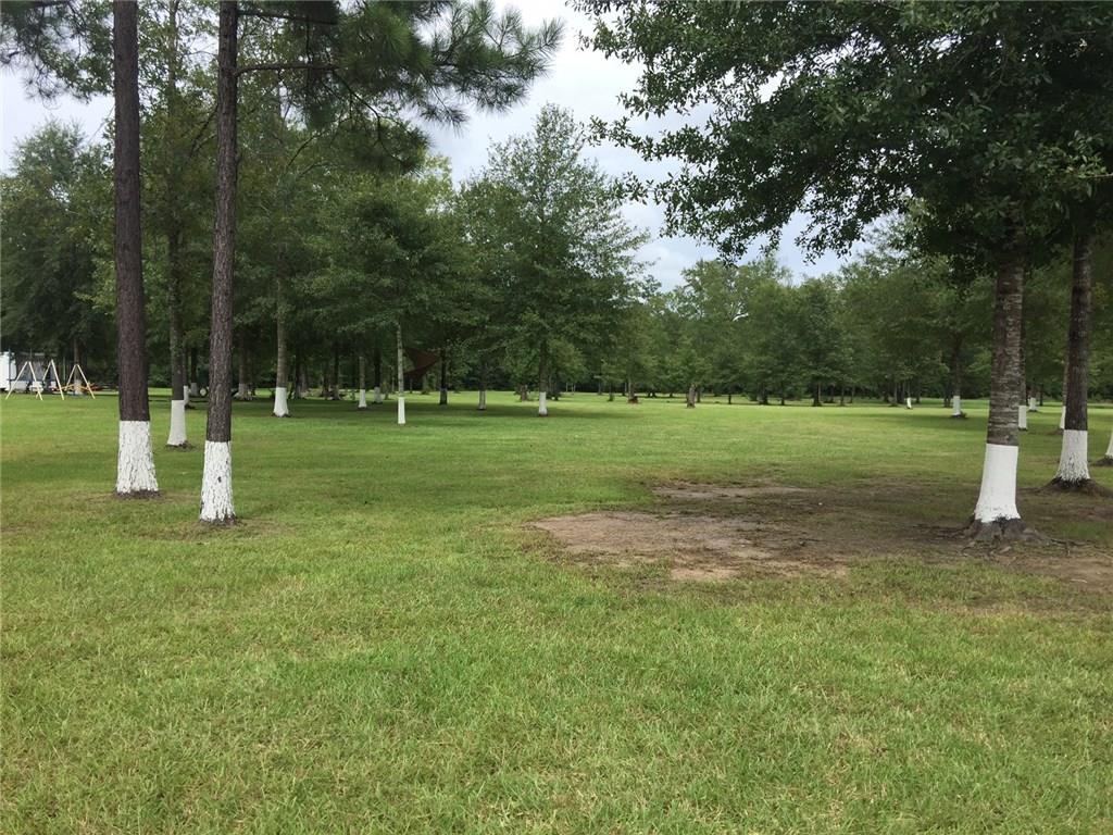 32068 Pea Ridge Road Albany, LA 70711 - Photo 1 of 3