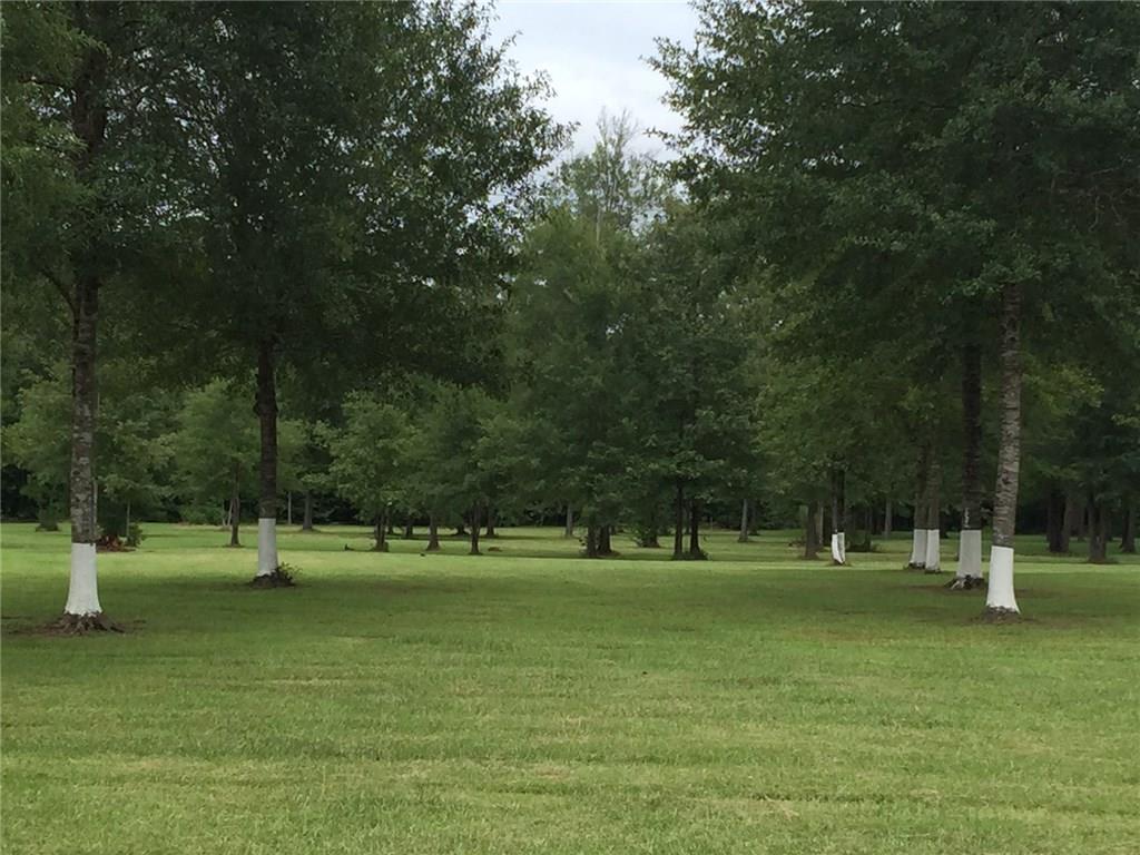 32068 Pea Ridge Road Albany, LA 70711 - Photo 2 of 3