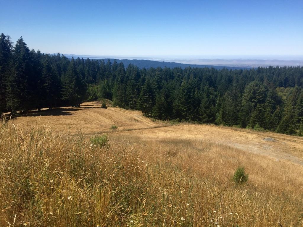 40-acres Liscom Hill Road Eureka, CA 95503 - Photo 1 of 8