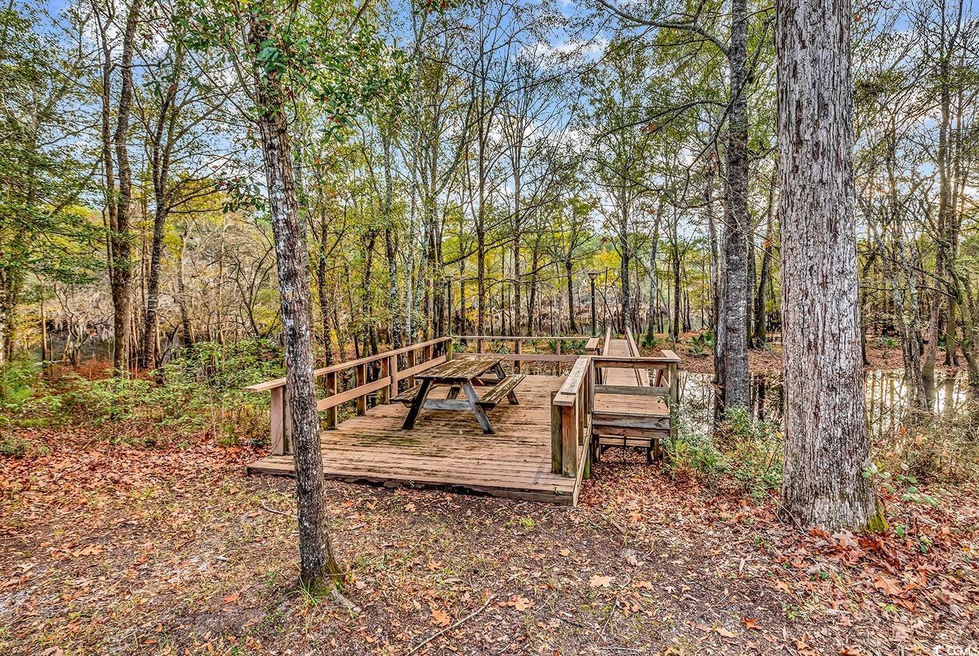 32 Old Place Kingstree, SC 29556 - Photo 19 of 40 Surrounding community featuring a wooden deck