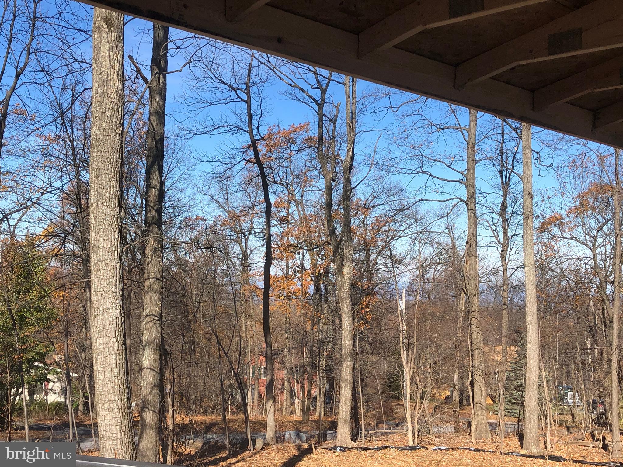 34 Blue Valley Road Linden, VA 22642 - Photo 5 of 8 view from the huge front porch