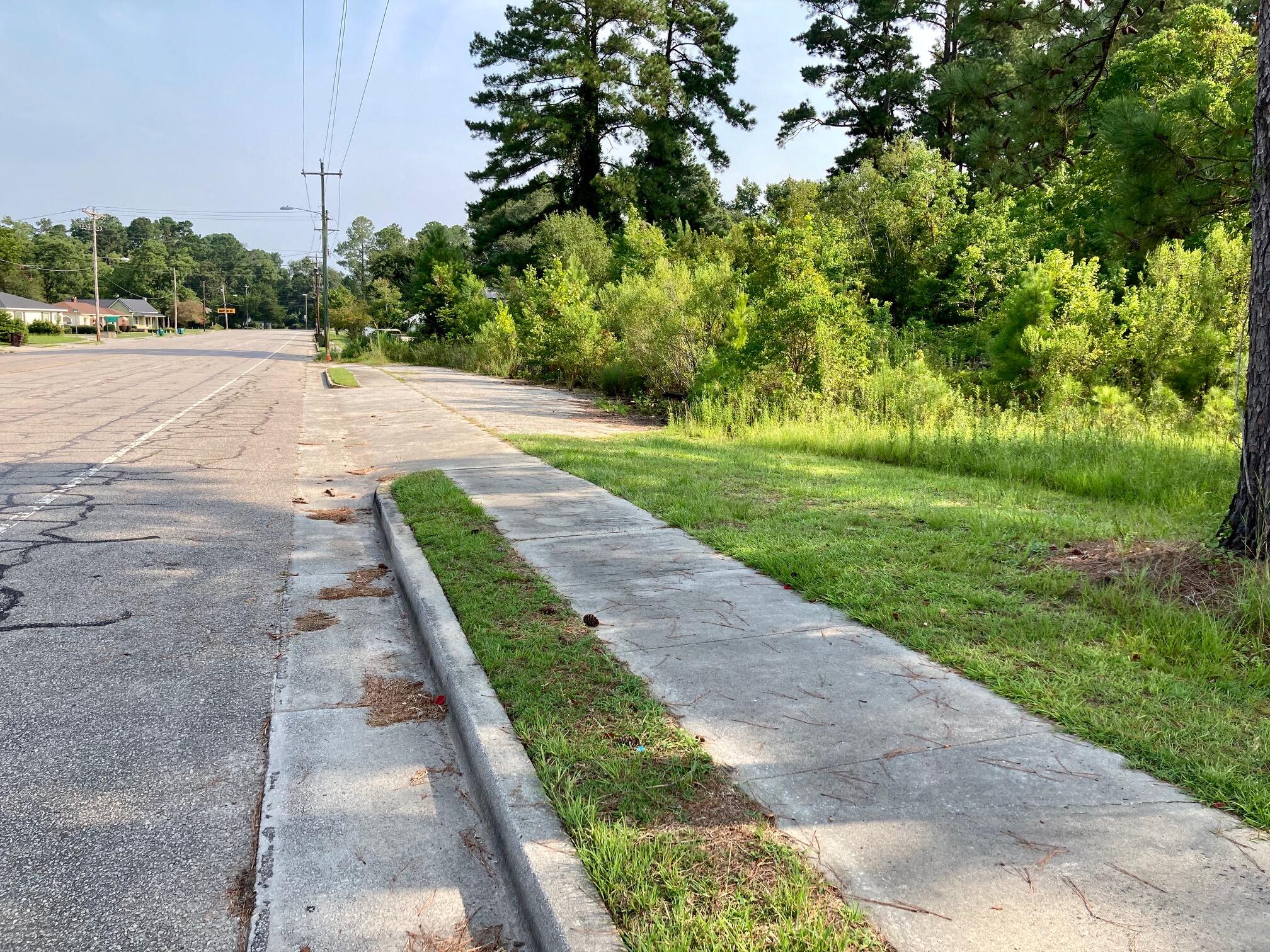 0 South Parler Avenue St. George, SC 29477 - Photo 1 of 2 IMG_6657