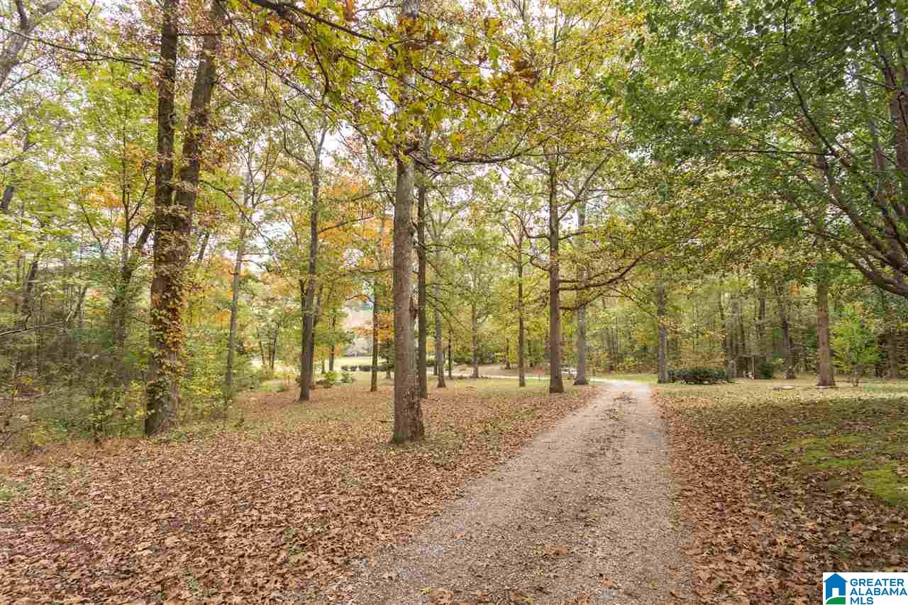 17935 Highway 75 Remlap, AL 35133 - Photo 29 of 30