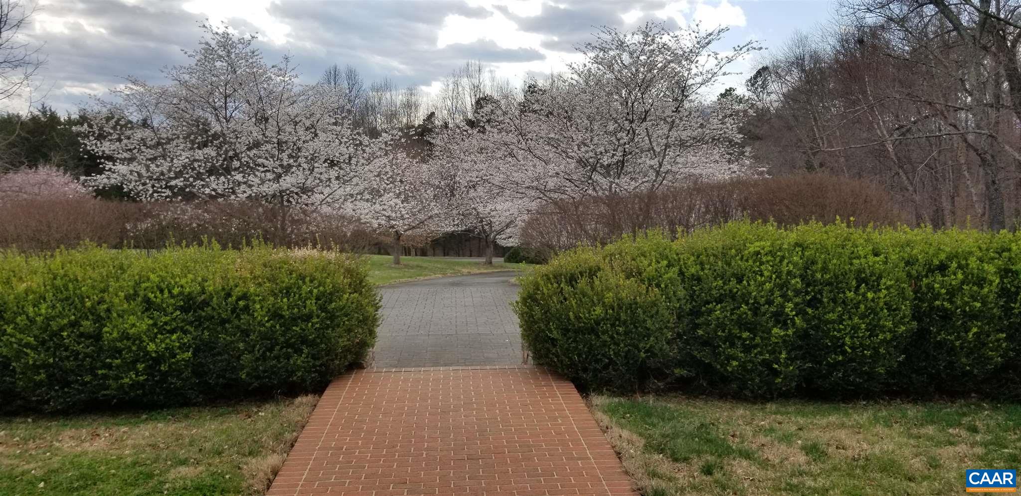 2330 Homestead Farm Road Free Union, VA 22940 - Photo 12 of 53 a view of a garden