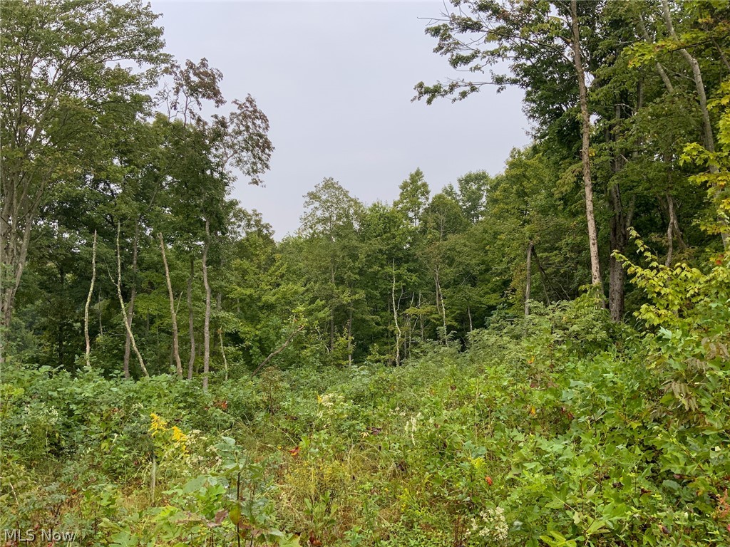 Rice Road Jackson, OH 45640 - Photo 23 of 24 Gallery Image 23