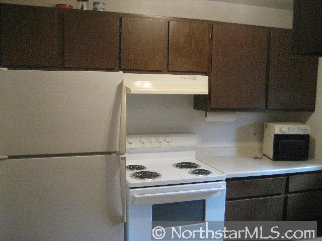 110252 Village Road, Unit 52 Chaska, MN 55318 - Photo 3 of 3 Gallery Image 3