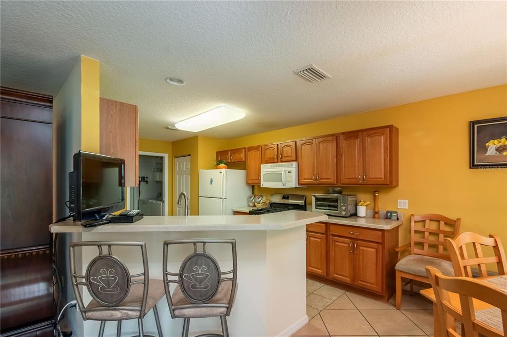 10035 Southwest 90th Loop Ocala, FL 34481 - Photo 5 of 40 Gallery Image 5