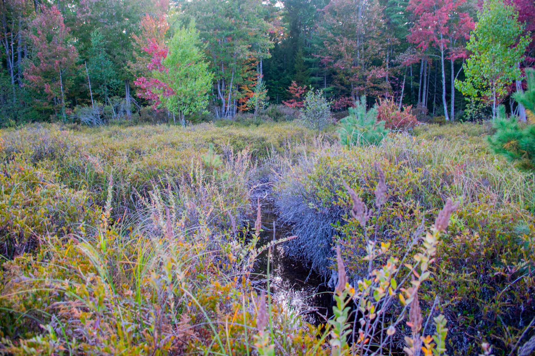 Tbd New Dam Road North Waterboro, ME 04061 - Photo 22 of 24