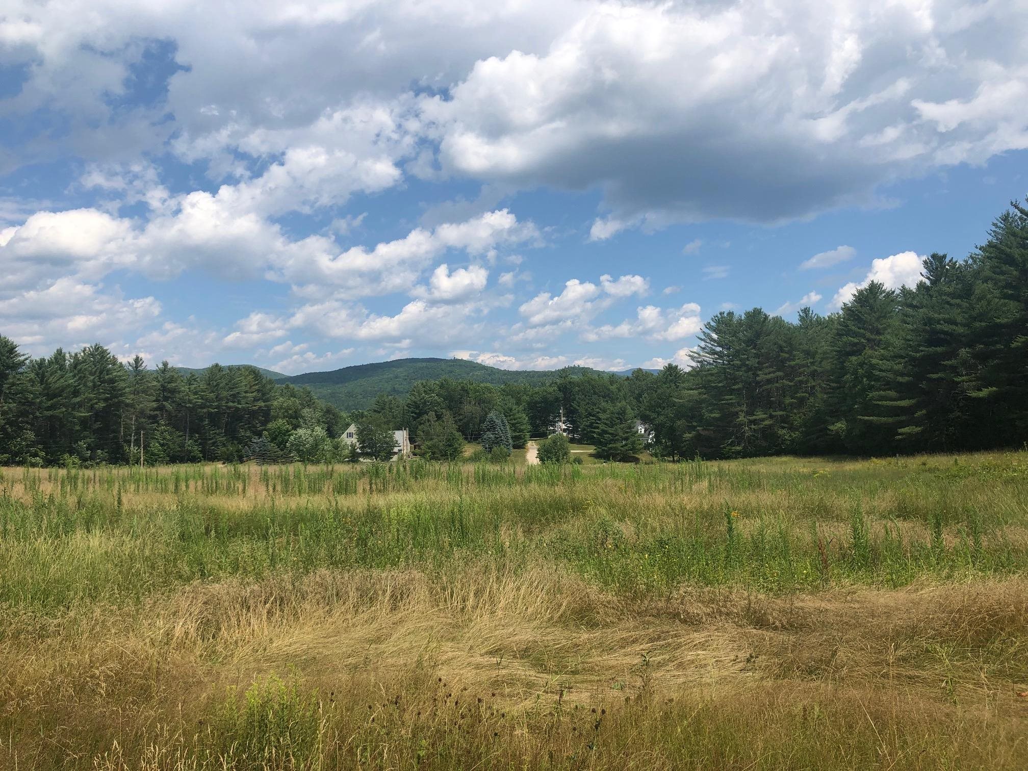 Blake Mountain Road, Unit A Thornton, NH 03285 - Photo 3 of 7