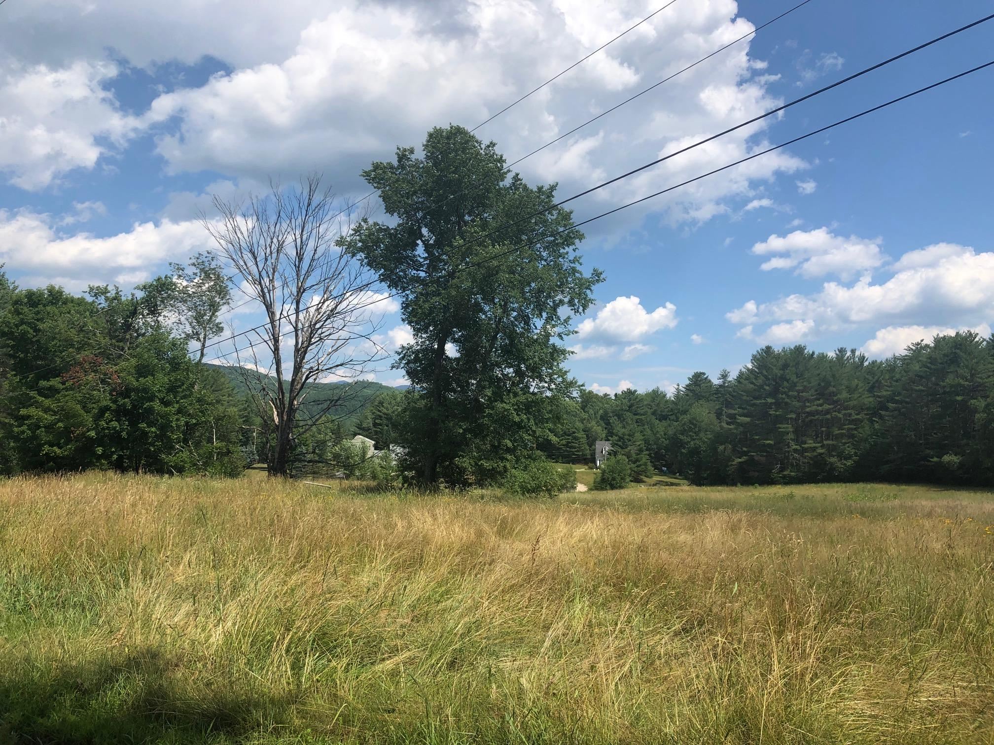 Blake Mountain Road, Unit A Thornton, NH 03285 - Photo 6 of 7