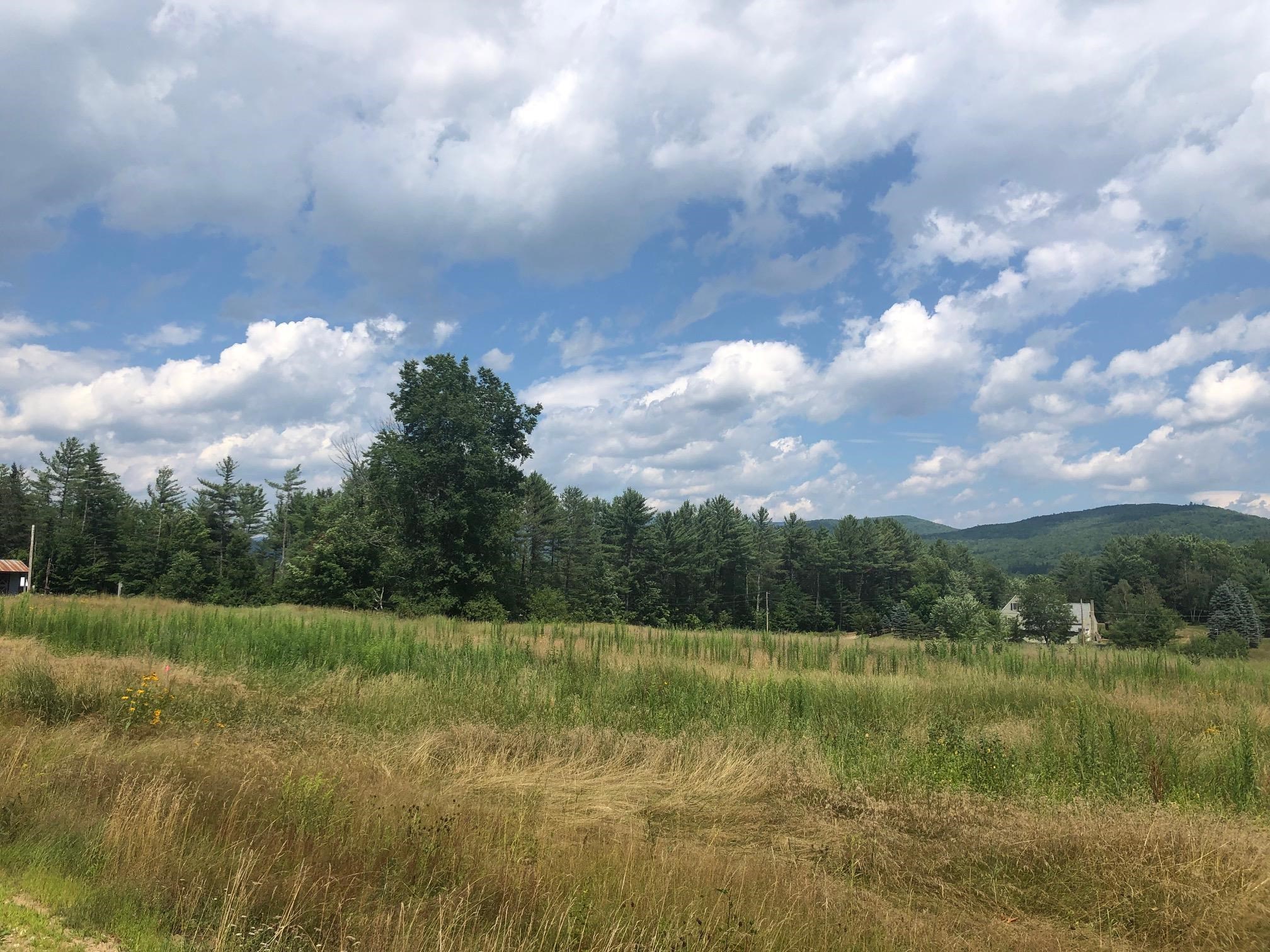 Blake Mountain Road, Unit A Thornton, NH 03285 - Photo 7 of 7