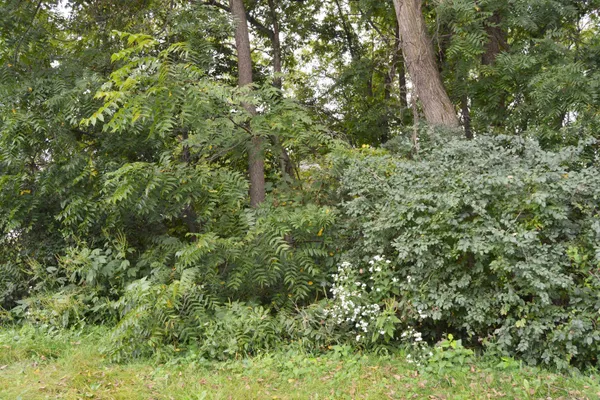 $35,900 | Lot 64 North Westmor Spring Green, Spring Green, WI 53588