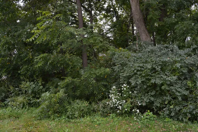 $35,900 | Lot 64 North Westmor Spring Green, Spring Green, WI 53588