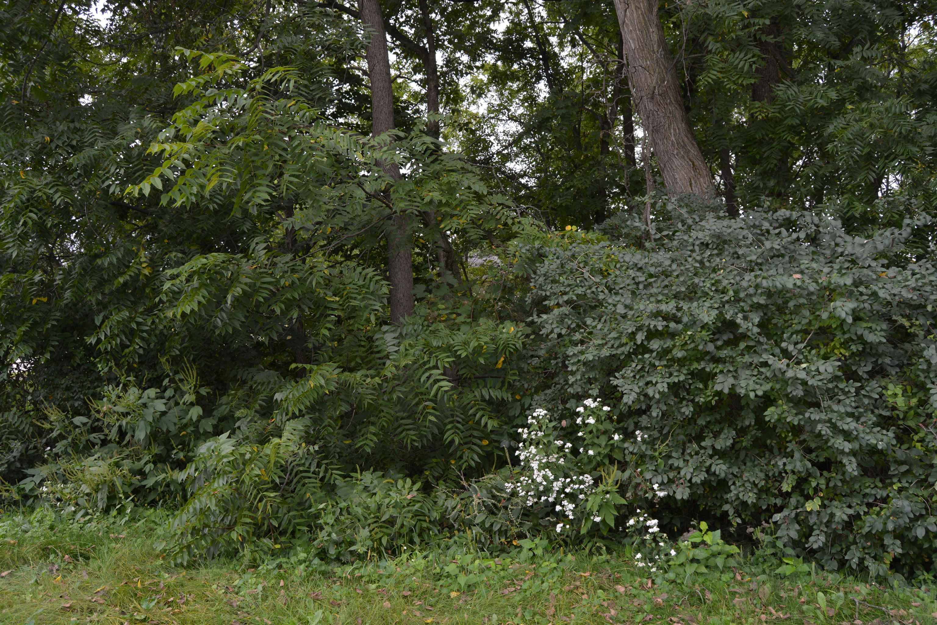 Lot 64 North Westmor Spring Green Spring Green, WI 53588 - Photo 5 of 18