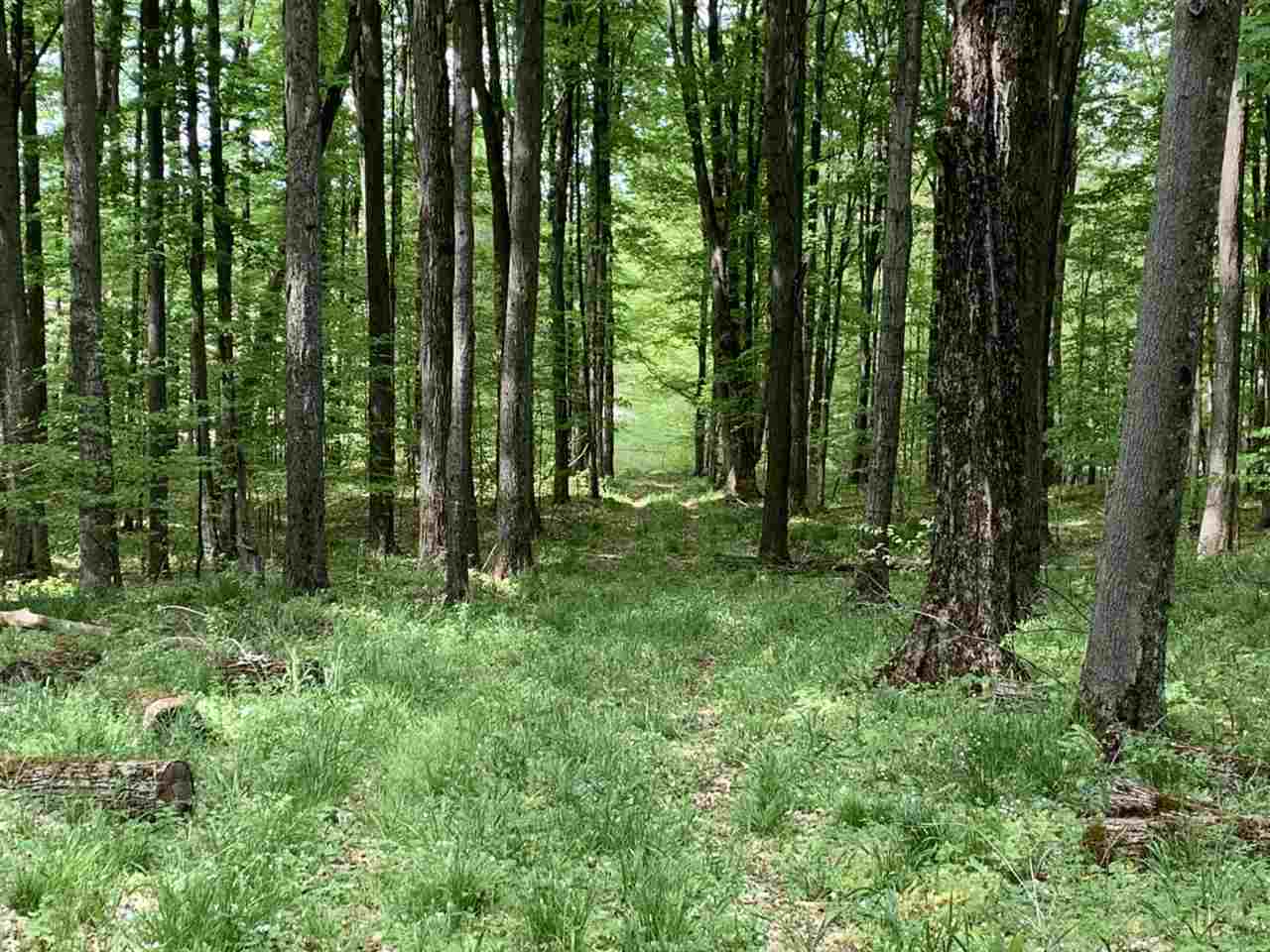 40 South 17 Road Boon, MI 49618 - Photo 31 of 33