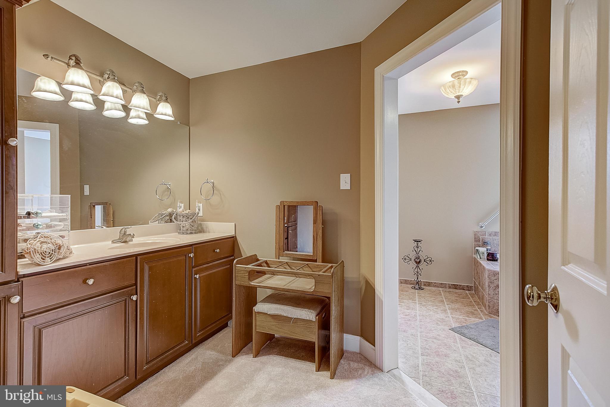 234 Jefferis Road Downingtown, PA 19335 - Photo 31 of 55 Primary ensuite bath