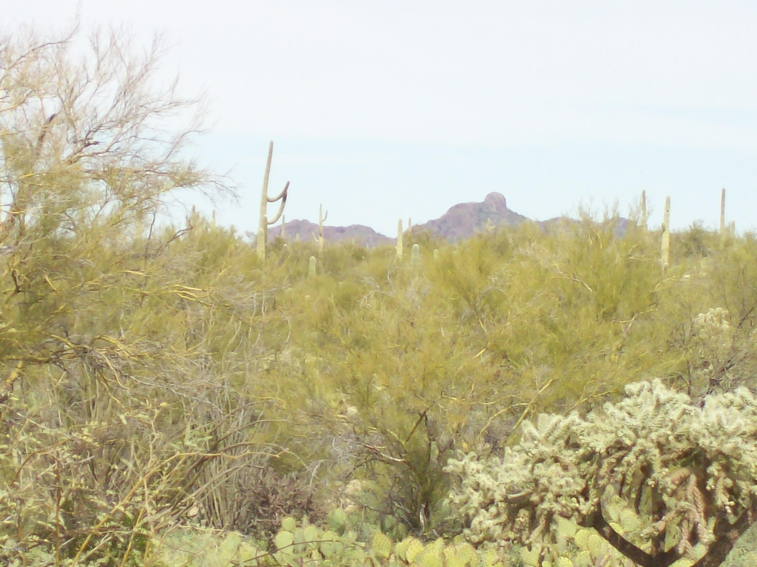 0 Derrio Road Marana, AZ 85658 - Photo 13 of 14