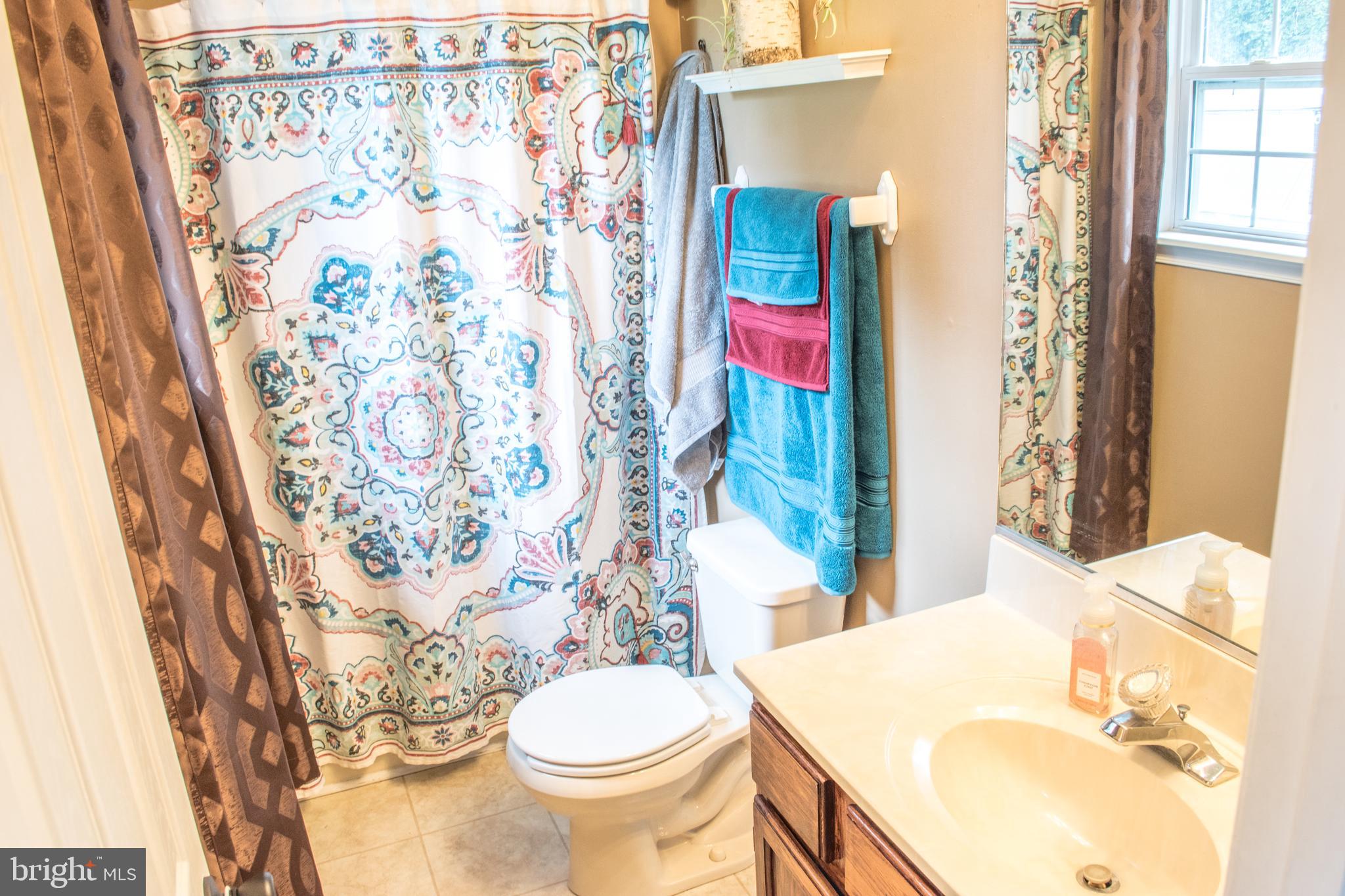 821 Sharps Point Road Fruitland, MD 21826 - Photo 13 of 19 Master Bathroom