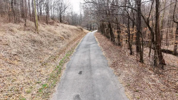 a pathway of a yard