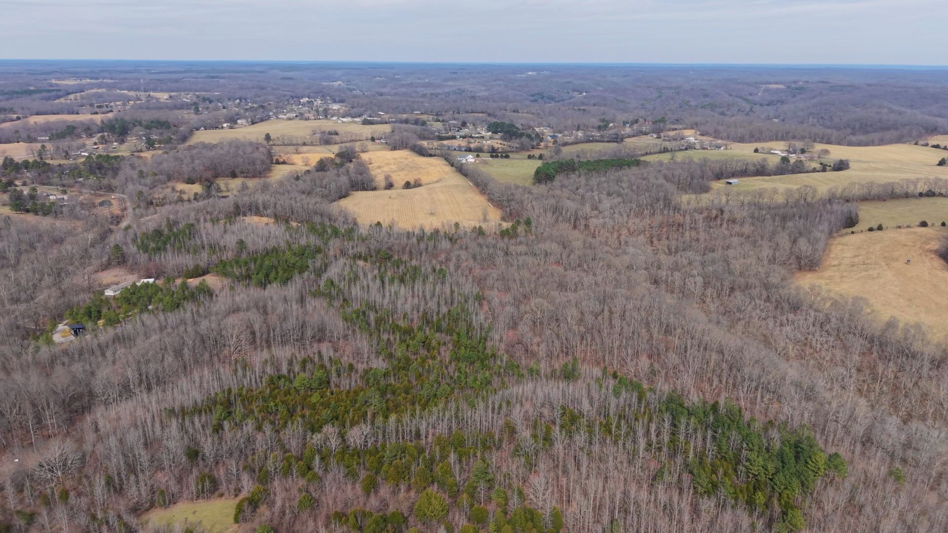 0 Davis Hollow Road Minor Hill, TN 38473 - Photo 6 of 11 an aerial view of residential houses and outdoor space