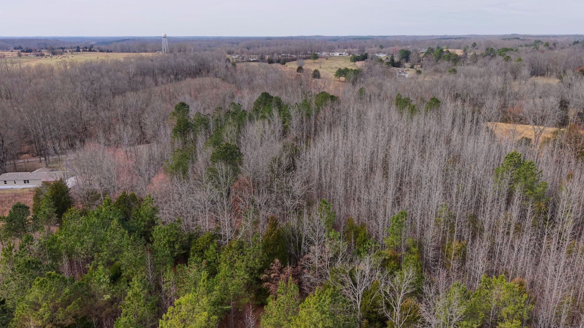 0 Davis Hollow Road Minor Hill, TN 38473 - Photo 9 of 11 a view of a green field