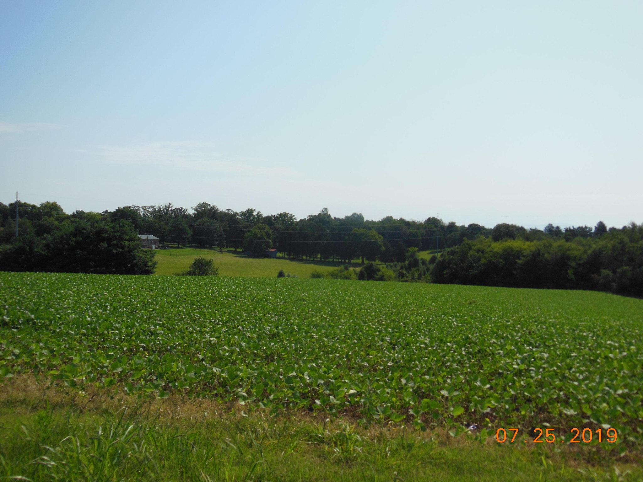 0 Hillcrest Road Madisonville, TN 37354 - Photo 2 of 10