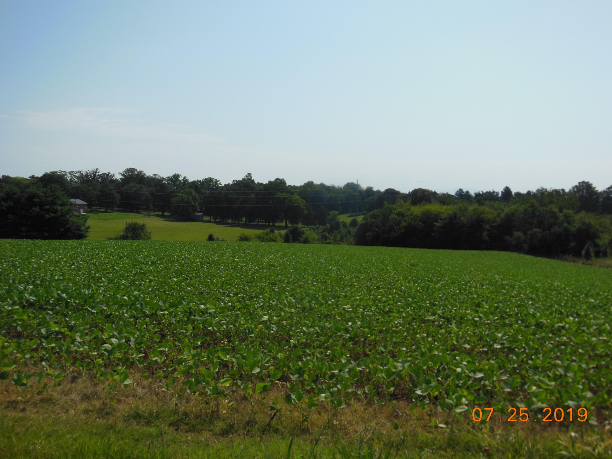 0 Hillcrest Road Madisonville, TN 37354 - Photo 4 of 10
