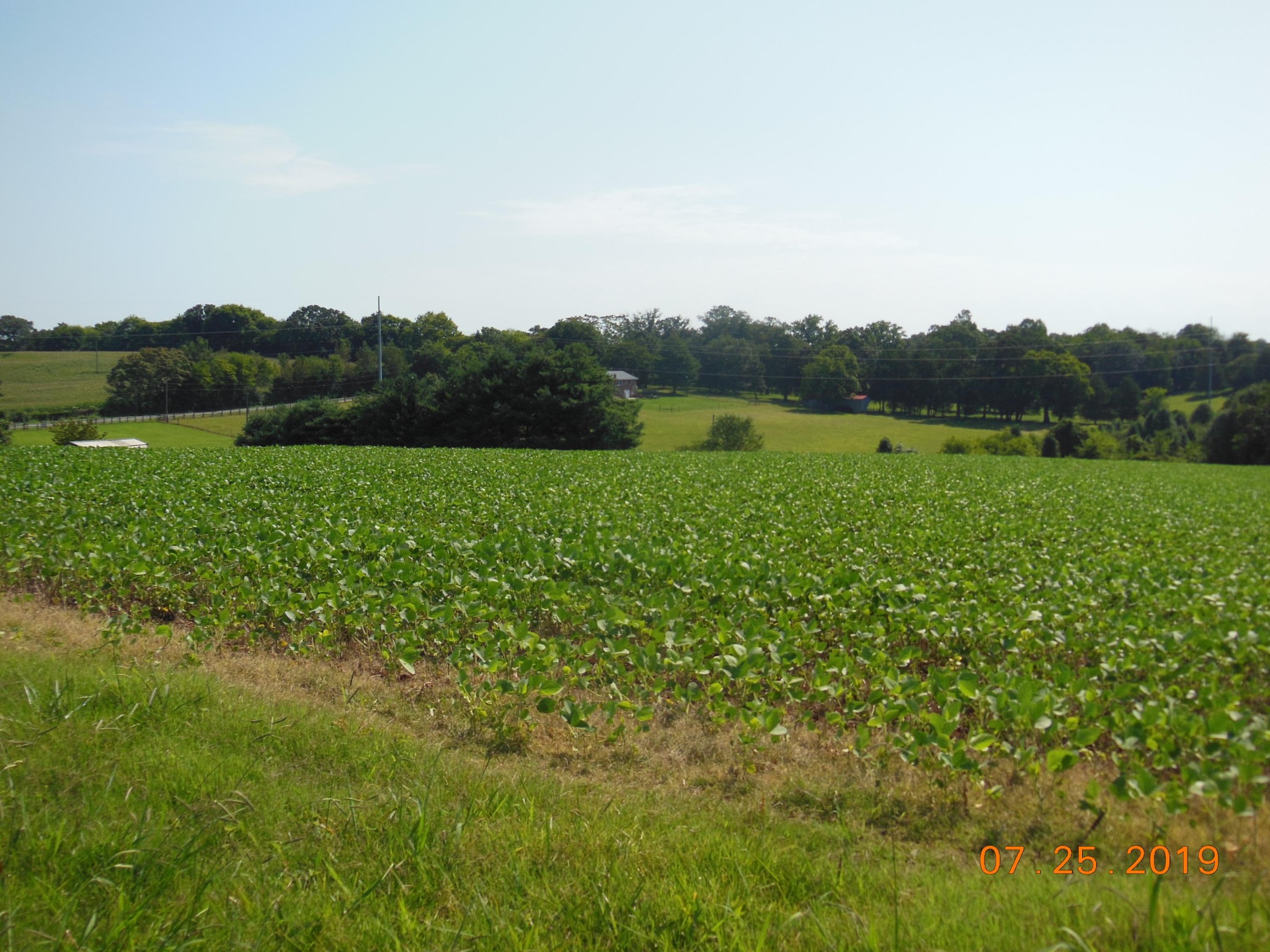0 Hillcrest Road Madisonville, TN 37354 - Photo 5 of 10