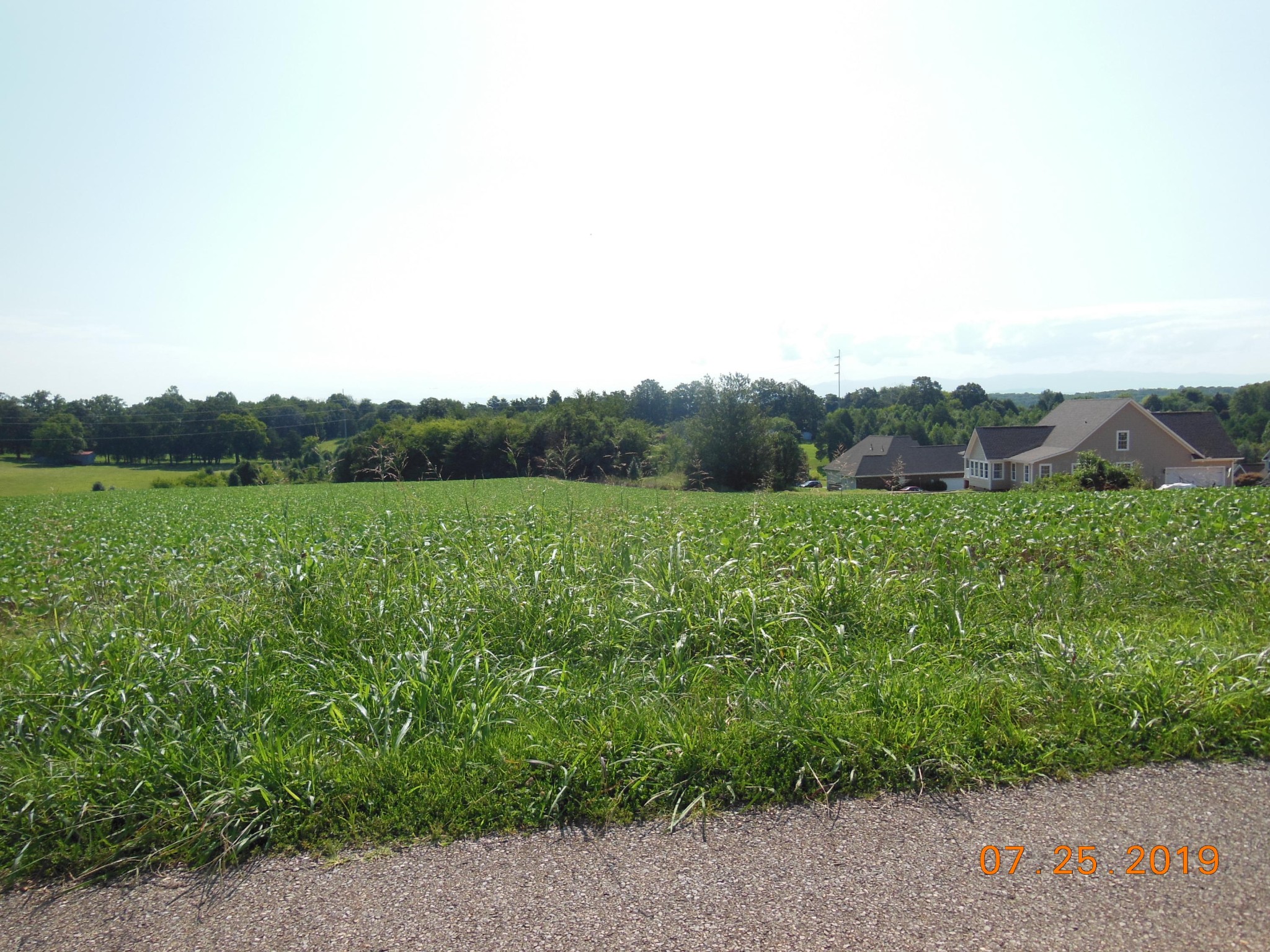 0 Hillcrest Road Madisonville, TN 37354 - Photo 7 of 10