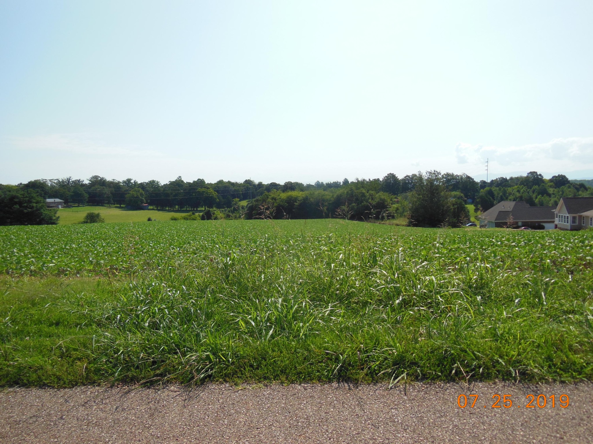 0 Hillcrest Road Madisonville, TN 37354 - Photo 8 of 10
