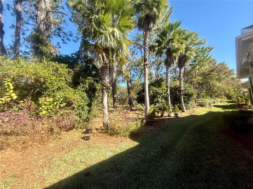 11621 Southwest 72nd Circle Ocala, FL 34476 - Photo 49 of 66