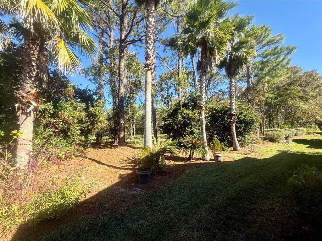 11621 Southwest 72nd Circle Ocala, FL 34476 - Photo 50 of 66