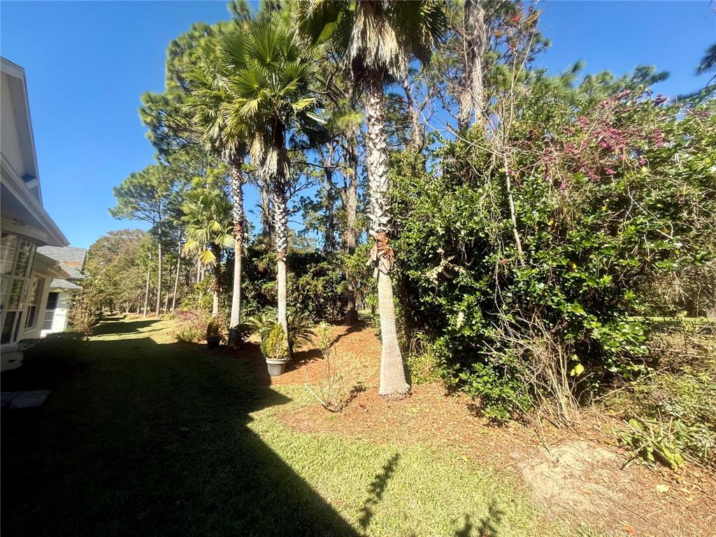 11621 Southwest 72nd Circle Ocala, FL 34476 - Photo 51 of 66 a view of a yard