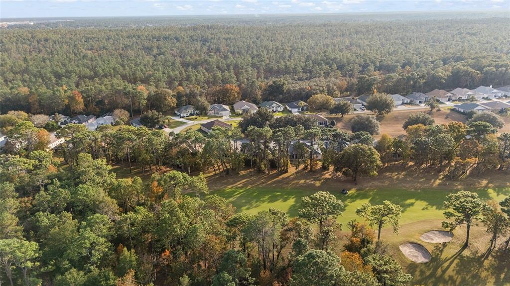 11621 Southwest 72nd Circle Ocala, FL 34476 - Photo 54 of 66