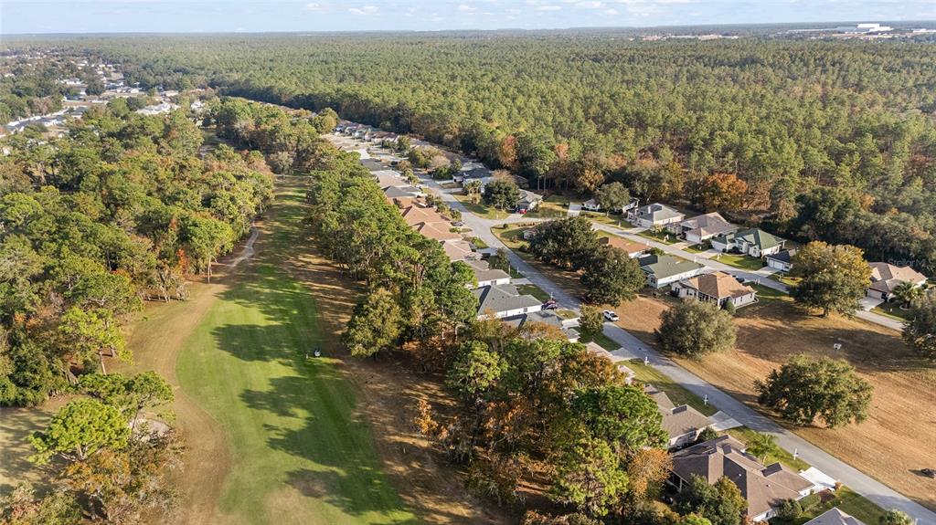 11621 Southwest 72nd Circle Ocala, FL 34476 - Photo 55 of 66