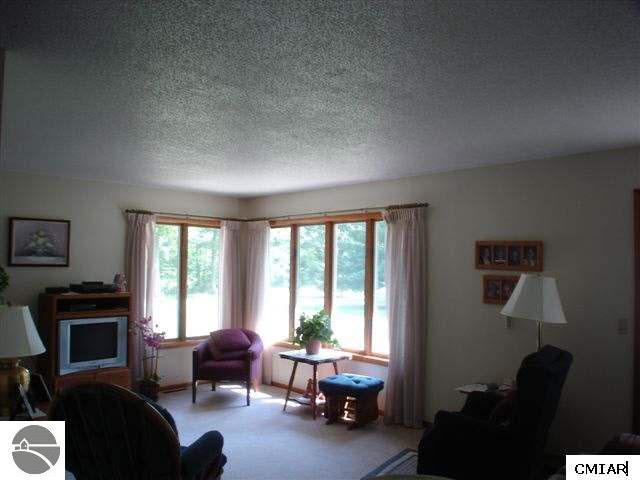 4138 West Coleman Road Lake, MI 48632 - Photo 3 of 7 1772885-2.JPG