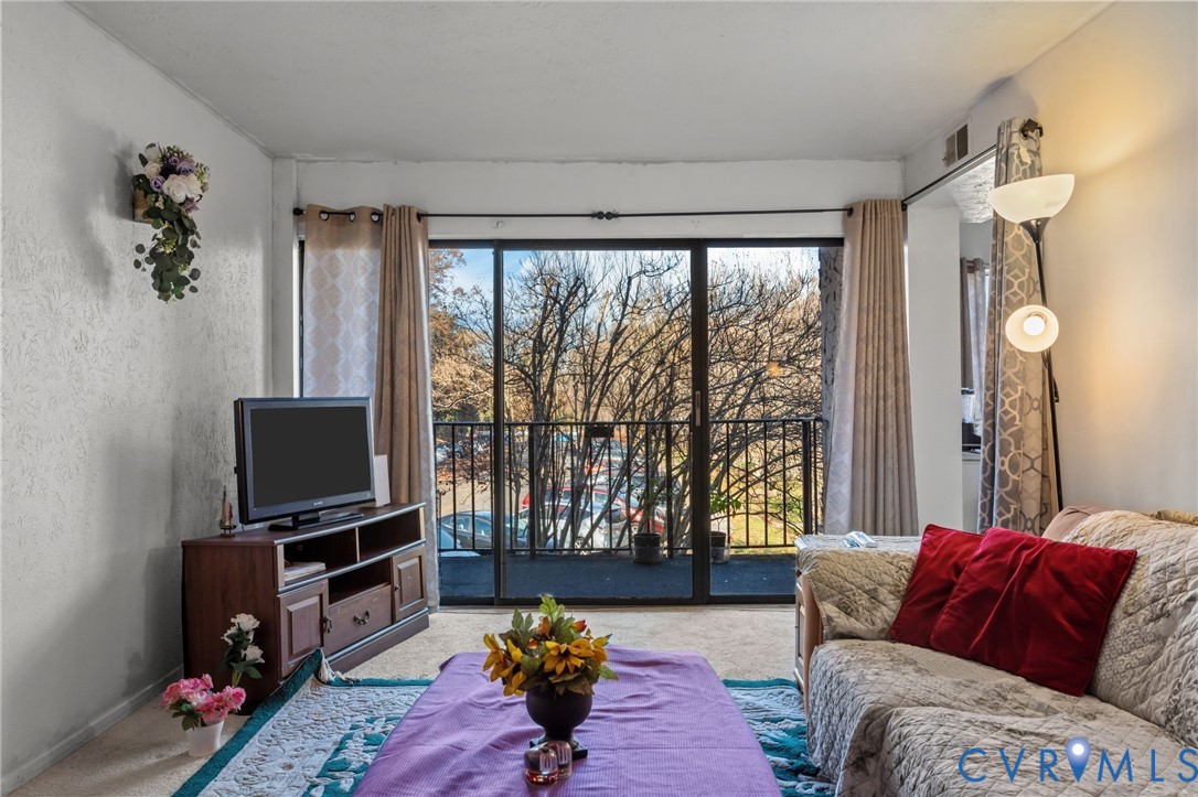 1503 Largo Road, Unit 201 Richmond, VA 23238 - Photo 19 of 37 a living room with furniture and a flat screen tv