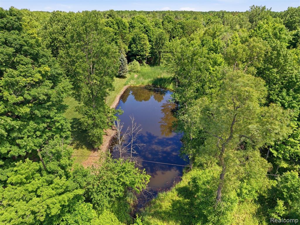 5449 Lum Road Attica, MI 48412 - Photo 16 of 82