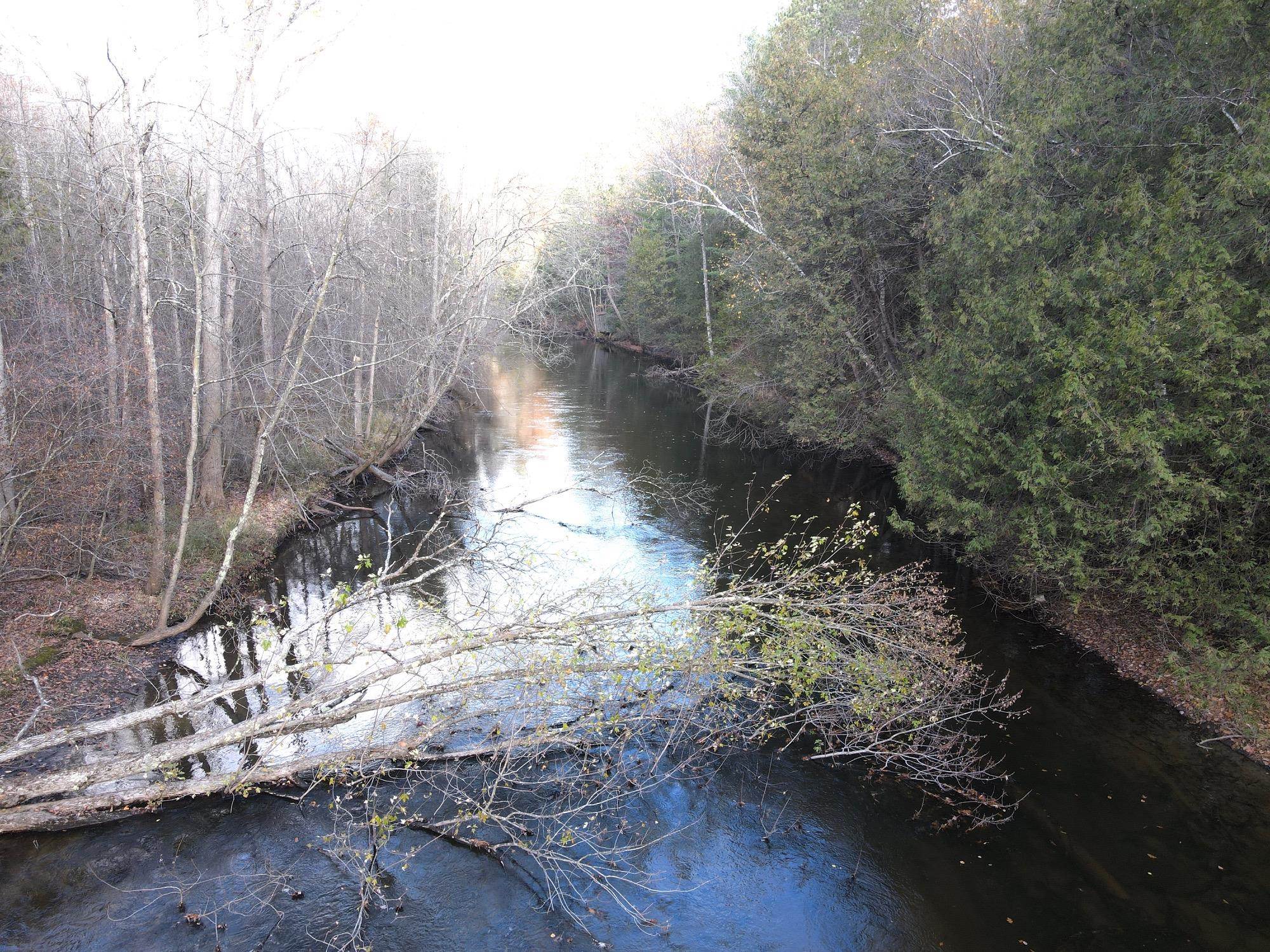 10869 Randall Lane Suring, WI 54174 - Photo 22 of 25