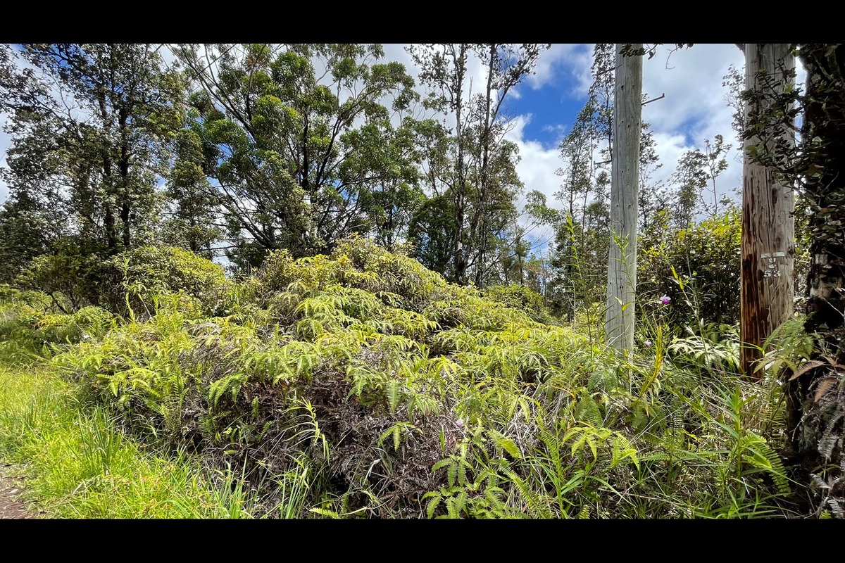 3153 Hopue Road Pahoa, HI 96778 - Photo 3 of 21 Gallery Image 3
