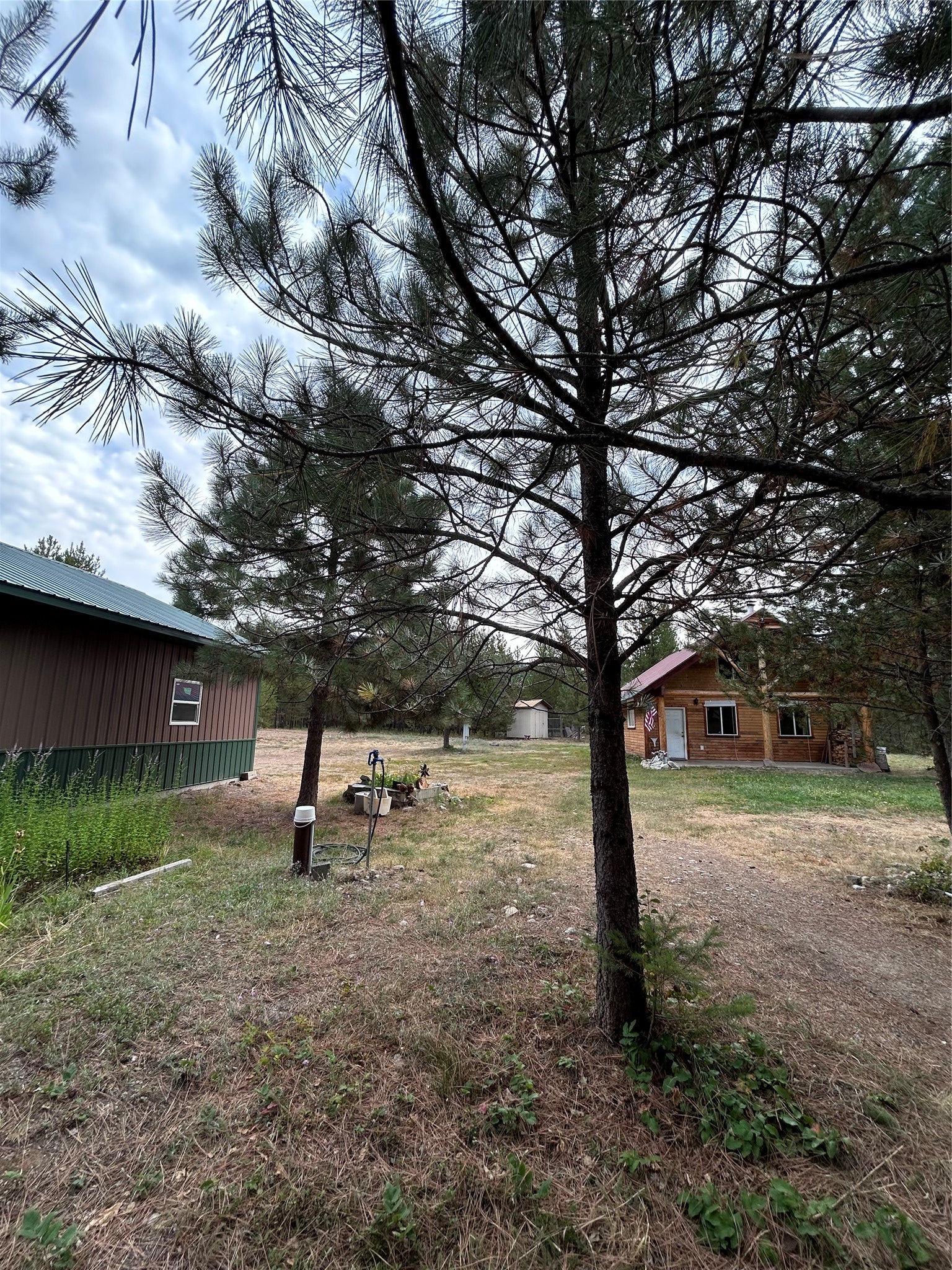 297 Cabin City Loop Road St. Regis, MT 59866 - Photo 10 of 43 Gallery Image 10